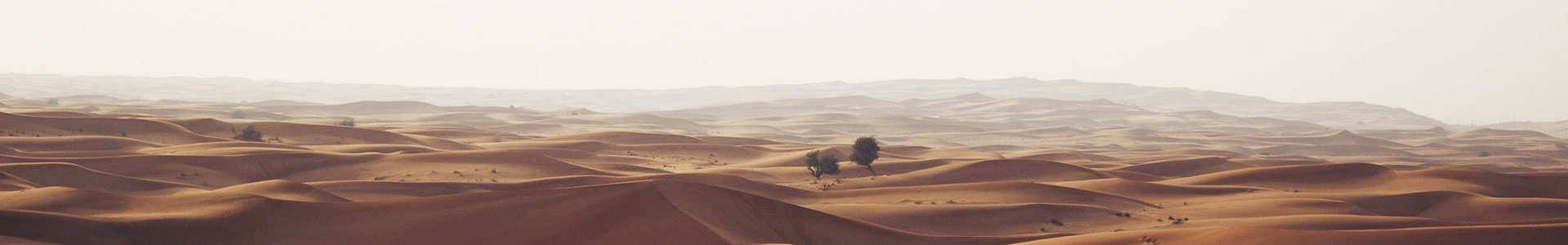ŰĽչʾƹ޹˾